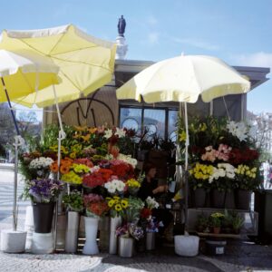 Outdoor Umbrellas